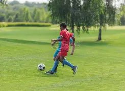 欧冠夺冠风,阿森纳领跑,榜单,金贝娱乐会员登录入口,JINBEI金贝娱乐官网,金贝娱乐JINBEI