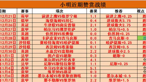申花门神恩加德再挡挪威联赛球星，米内罗防线展望良好